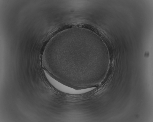 X0000091211156200708231600