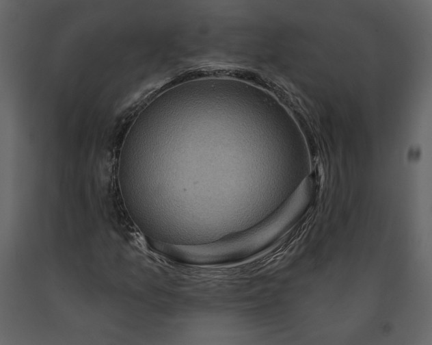 X0000091211157200708231600
