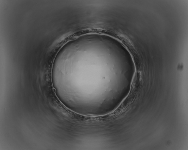 X0000091211159200708231600