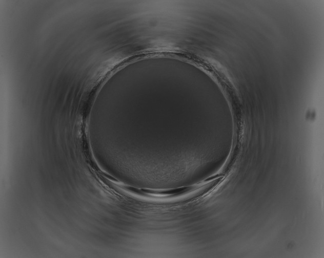X0000091211161200708231600