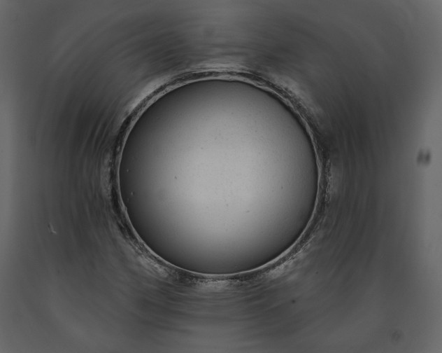 X0000091211162200708231600