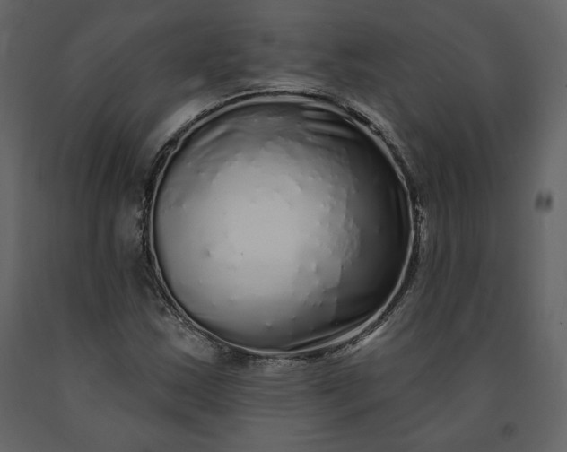 X0000091211163200708231600
