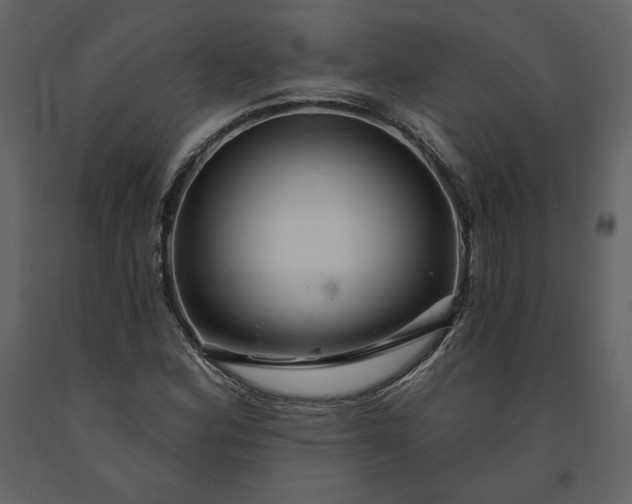 X0000091211164200708231600
