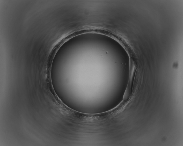 X0000091211165200708231600