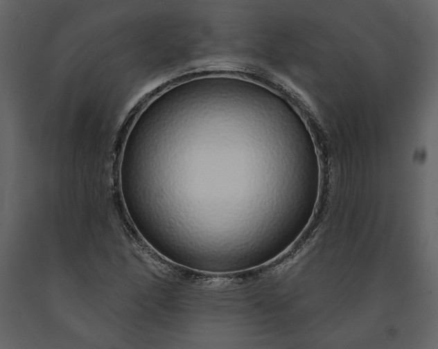 X0000091211166200708231600