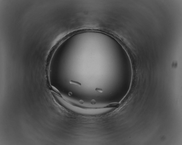 X0000091211168200708231600