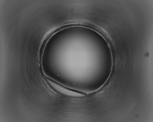 X0000091211172200708231600