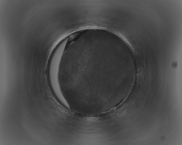 X0000091211173200708231600