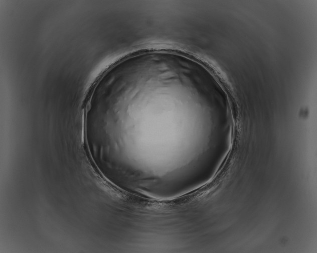 X0000091211175200708231600