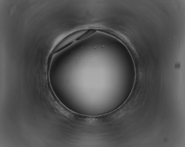 X0000091211176200708231600