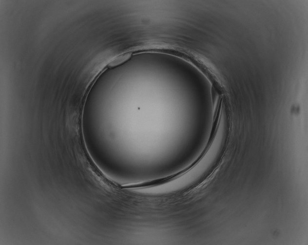 X0000091211177200708231600