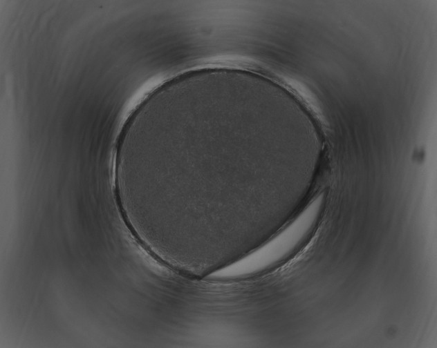 X0000091211180200708231600