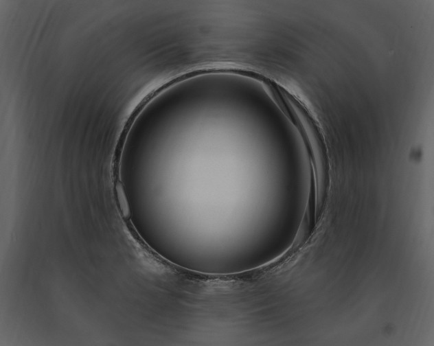 X0000091211181200708231600