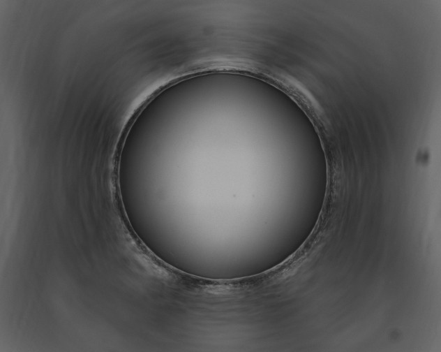 X0000091211182200708231600