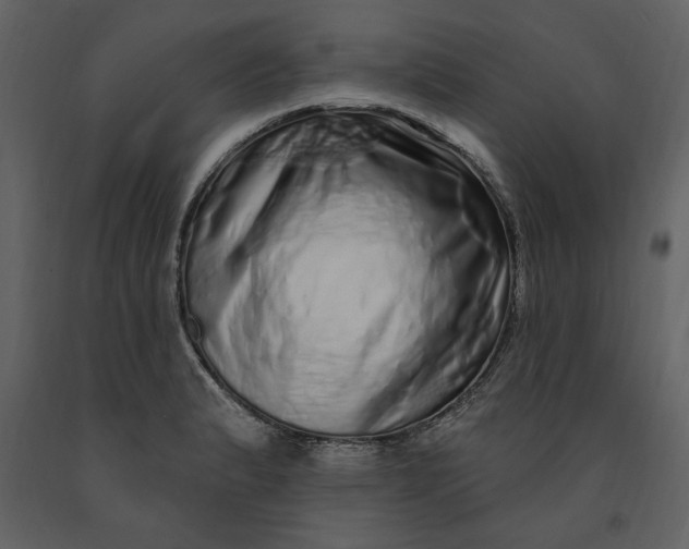 X0000091211183200708231600