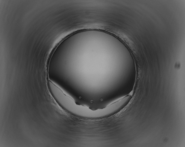 X0000091211184200708231600