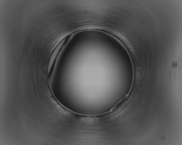 X0000091211185200708231600
