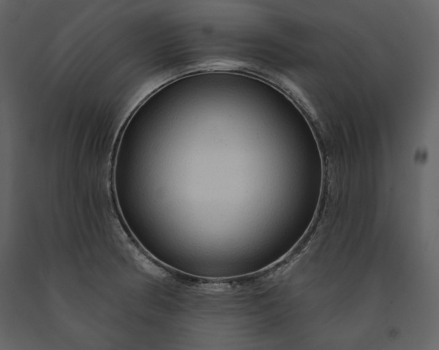 X0000091211186200708231600