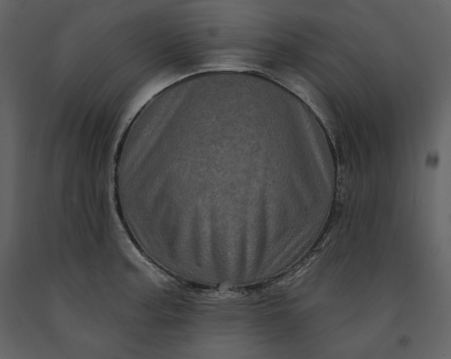 X0000091211187200708231600