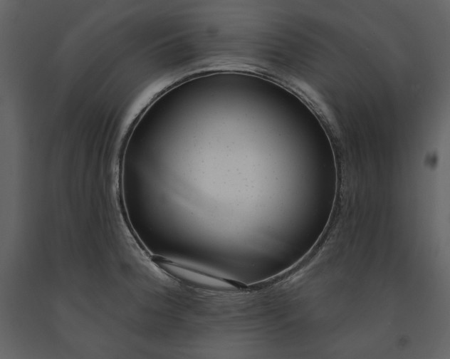 X0000091211188200708231600