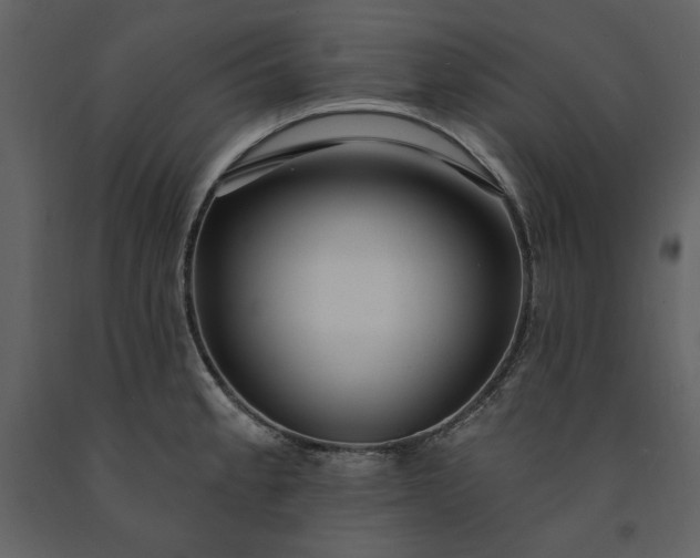 X0000091211189200708231600