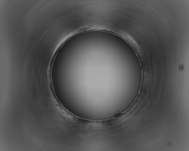 X0000091211190200708231600