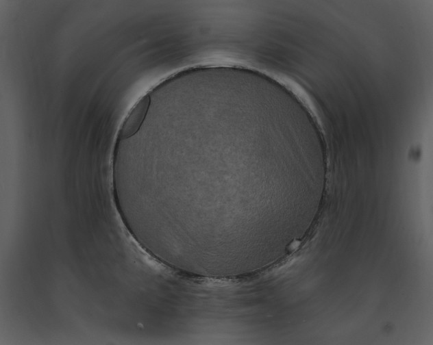 X0000091211191200708231600