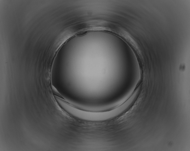 X0000091211193200708231600