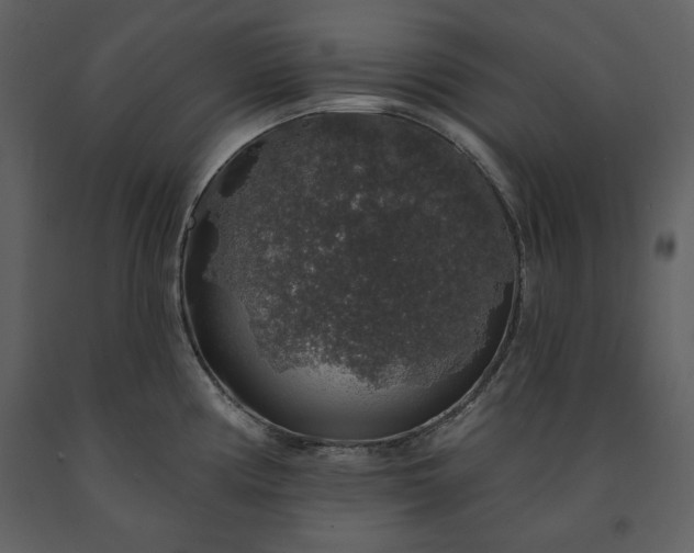X0000091211194200708231600