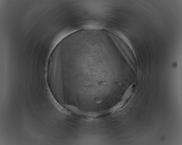 X0000091211195200708231600