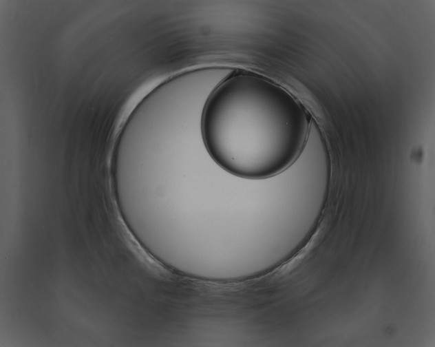 X0000091211196200708231600