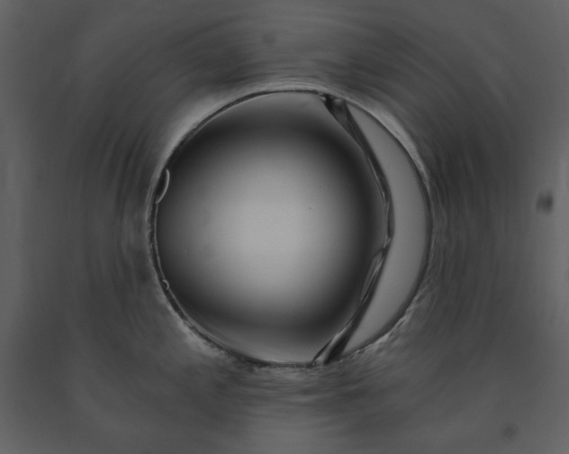 X0000091211197200708231600