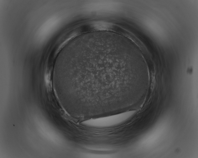 X0000091211198200708231600