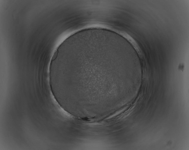 X0000091211199200708231600
