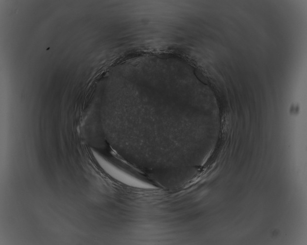 X0000091211202200708231559