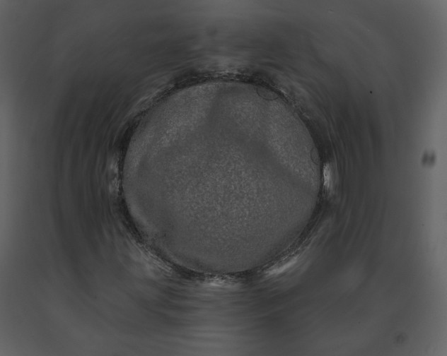 X0000091211203200708231559