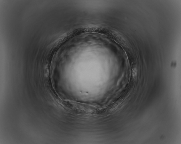 X0000091211204200708231559