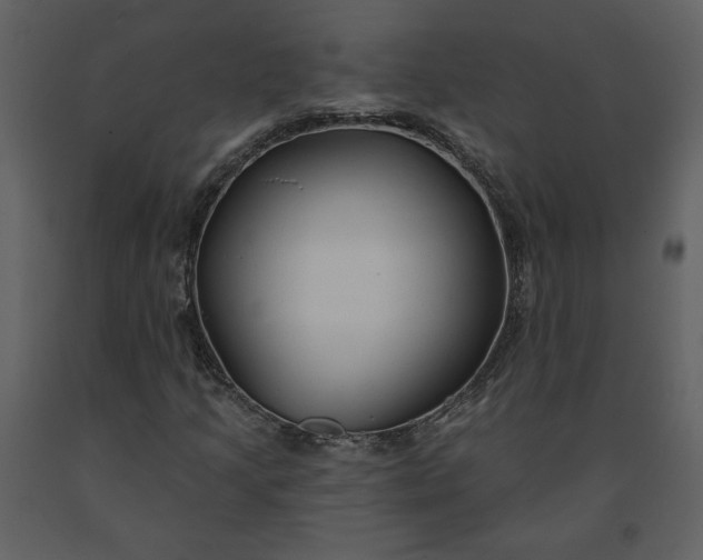 X0000091211205200708231559