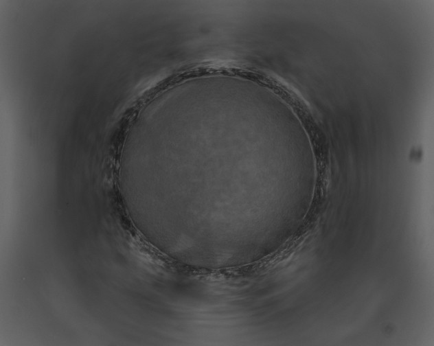 X0000091211207200708231559