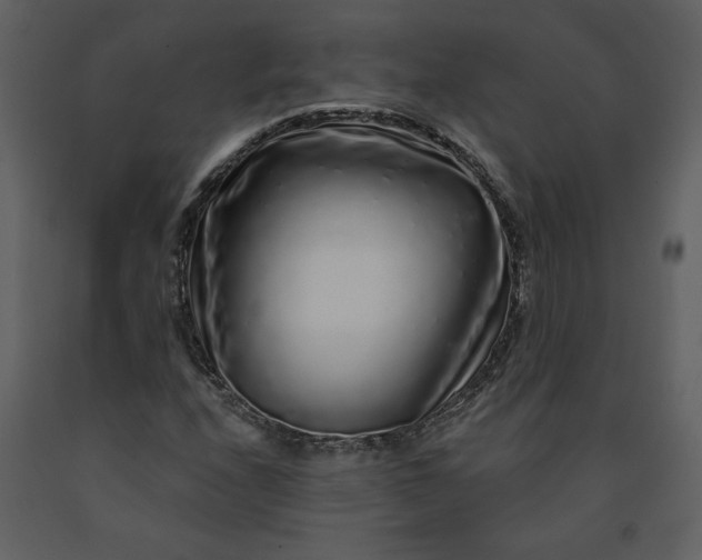 X0000091211208200708231559