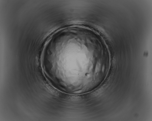 X0000091211209200708231559