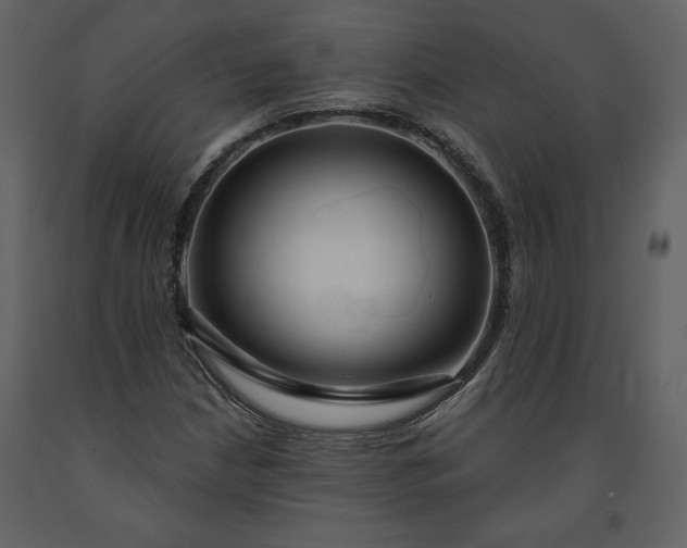 X0000091211210200708231559