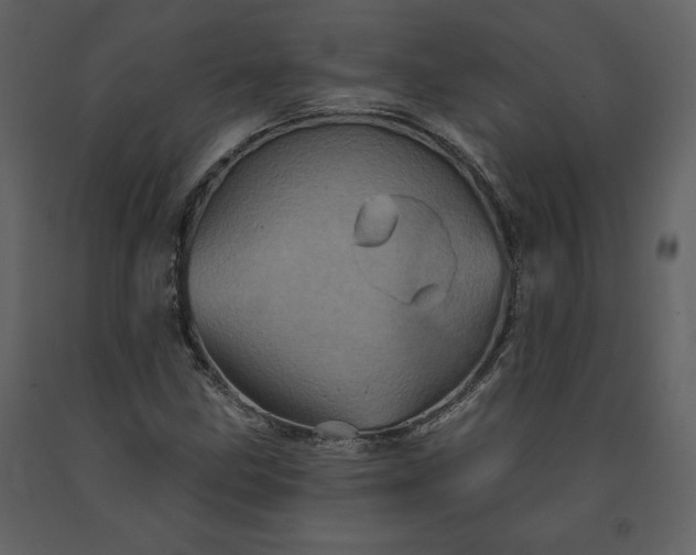 X0000091211211200708231559