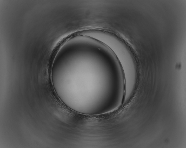 X0000091211214200708231559
