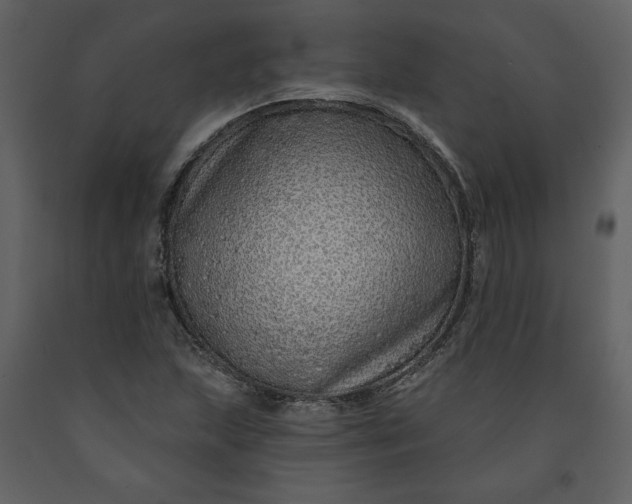 X0000091211215200708231559