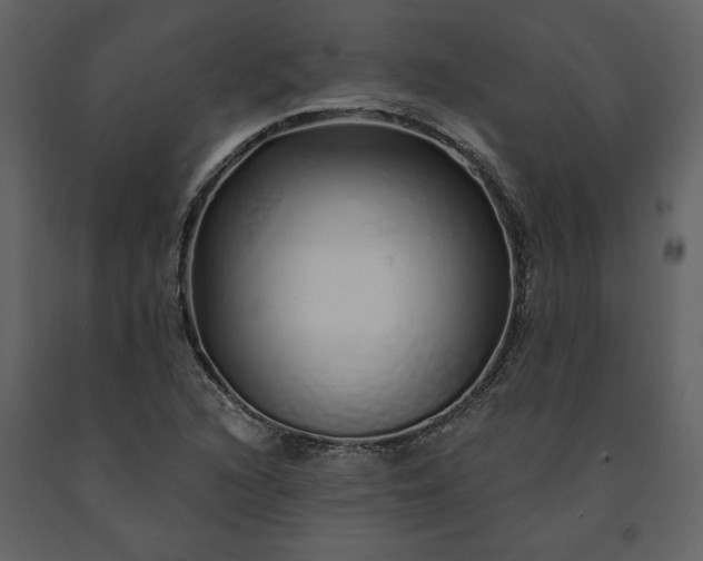 X0000091211216200708231559