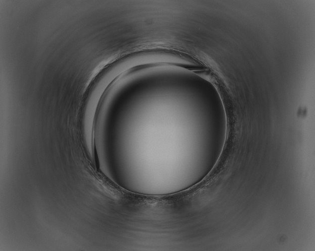 X0000091211218200708231559