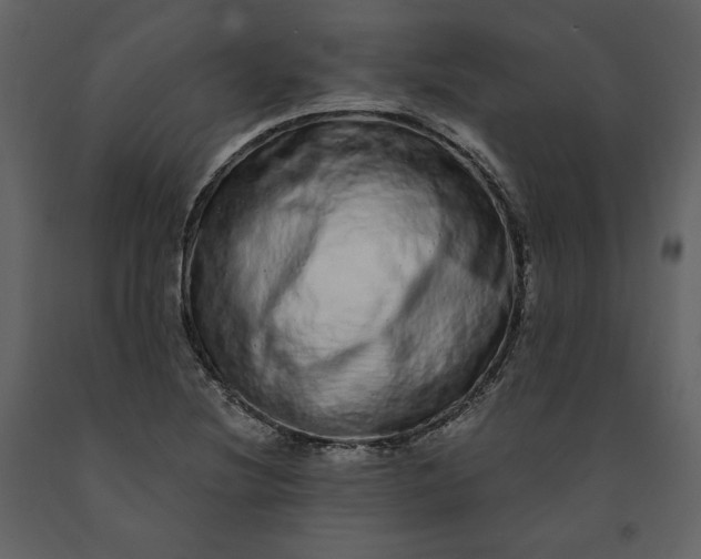 X0000091211220200708231559