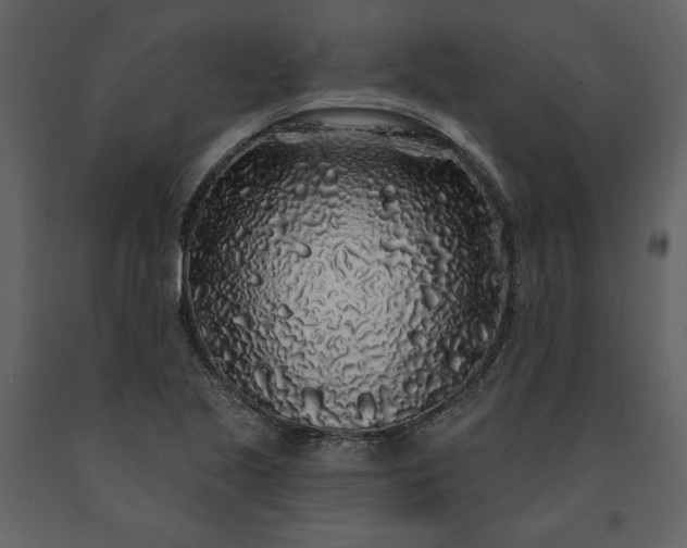 X0000091211221200708231559