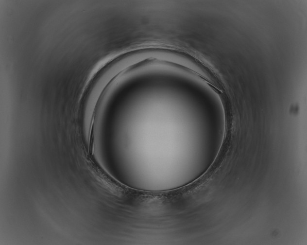 X0000091211222200708231559